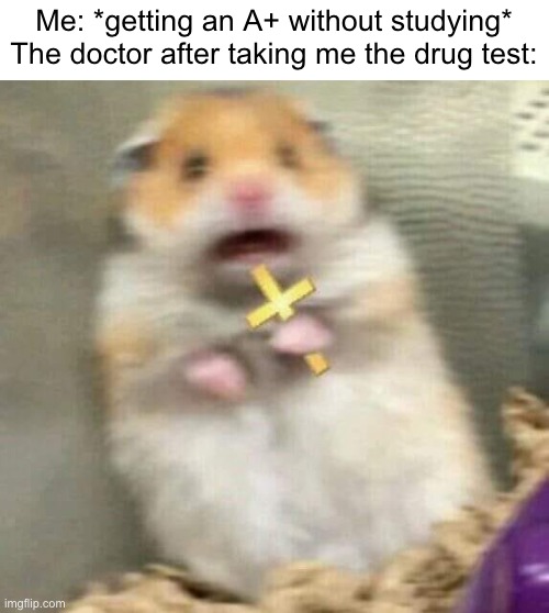 error 404 title not found | Me: *getting an A+ without studying*
The doctor after taking me the drug test: | image tagged in scared hamster with cross,memes,drugs,dark humour,whoever reads the tags is gay | made w/ Imgflip meme maker