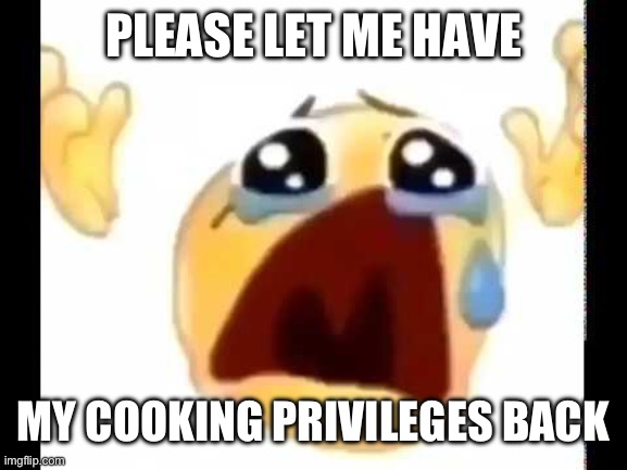 cursed crying emoji | PLEASE LET ME HAVE MY COOKING PRIVILEGES BACK | image tagged in cursed crying emoji | made w/ Imgflip meme maker