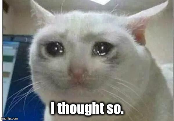 crying cat | I thought so. | image tagged in crying cat | made w/ Imgflip meme maker