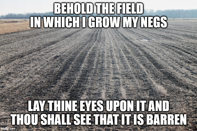 Barren field | BEHOLD THE FIELD IN WHICH I GROW MY NEGS; LAY THINE EYES UPON IT AND THOU SHALL SEE THAT IT IS BARREN | image tagged in barren field | made w/ Imgflip meme maker