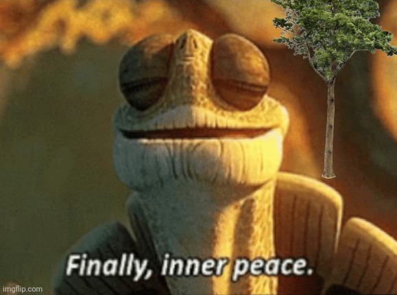 Finally, inner peace. | image tagged in finally inner peace | made w/ Imgflip meme maker