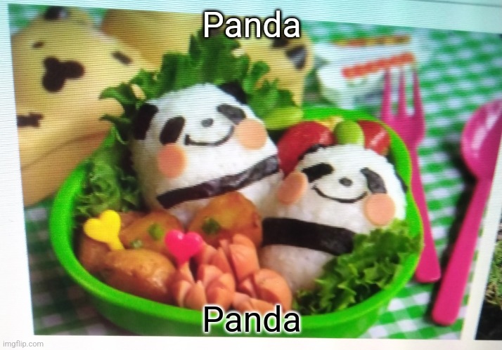 Pandaaaaa | Panda; Panda | image tagged in pandaaaaa | made w/ Imgflip meme maker