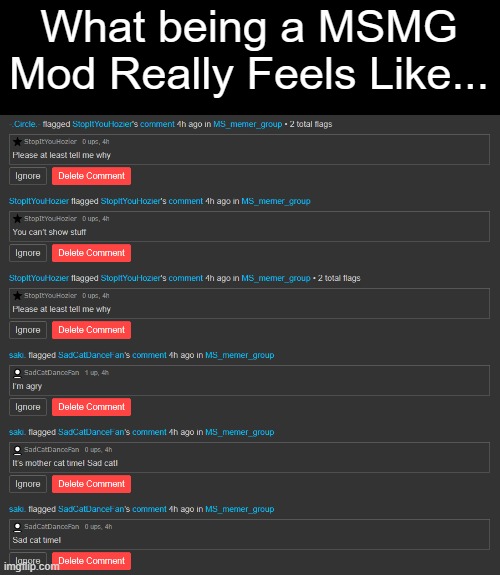So many Comment Flags | What being a MSMG Mod Really Feels Like... | image tagged in imgflip,msmg,memes,funny | made w/ Imgflip meme maker