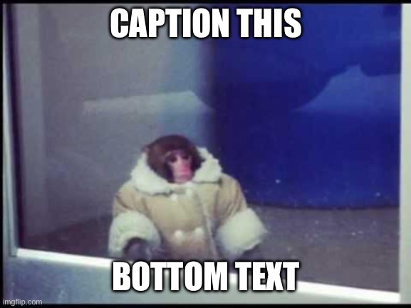 Caption this | CAPTION THIS; BOTTOM TEXT | image tagged in ikea monkey,caption this | made w/ Imgflip meme maker