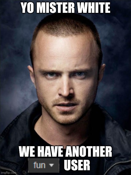 Jesse Pinkman | YO MISTER WHITE; WE HAVE ANOTHER           USER | image tagged in jesse pinkman | made w/ Imgflip meme maker