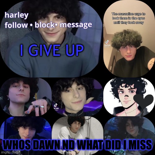arnyyyyy | I GIVE UP; WHOS DAWN ND WHAT DID I MISS | image tagged in arnyyyyy | made w/ Imgflip meme maker