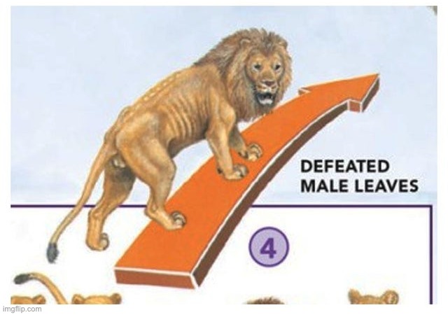 Defeated Male Leaves | image tagged in defeated male leaves | made w/ Imgflip meme maker