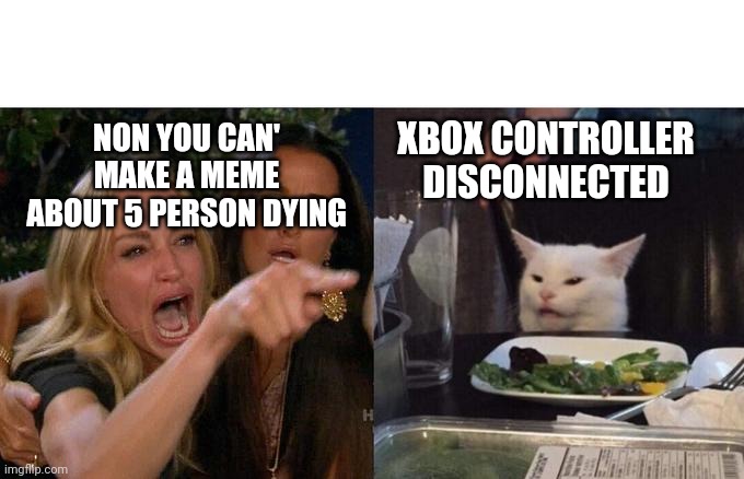 Woman Yelling At Cat | XBOX CONTROLLER DISCONNECTED; NON YOU CAN' MAKE A MEME ABOUT 5 PERSON DYING | image tagged in memes,woman yelling at cat | made w/ Imgflip meme maker