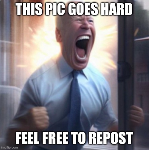 Biden Lets Go | THIS PIC GOES HARD; FEEL FREE TO REPOST | image tagged in biden lets go | made w/ Imgflip meme maker