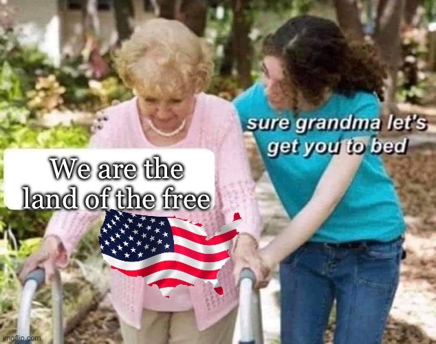And the home of the brave | We are the land of the free | image tagged in sure grandma,freedom,free,america | made w/ Imgflip meme maker