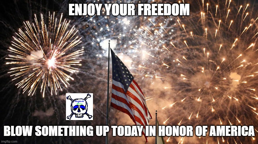 4th of july | ENJOY YOUR FREEDOM; BLOW SOMETHING UP TODAY IN HONOR OF AMERICA | image tagged in 4th of july | made w/ Imgflip meme maker