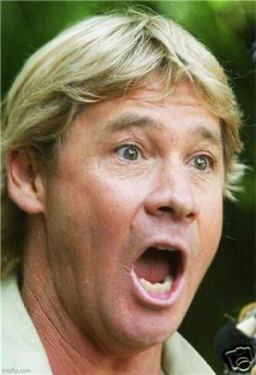 Steve Irwin shocked | image tagged in steve irwin shocked | made w/ Imgflip meme maker