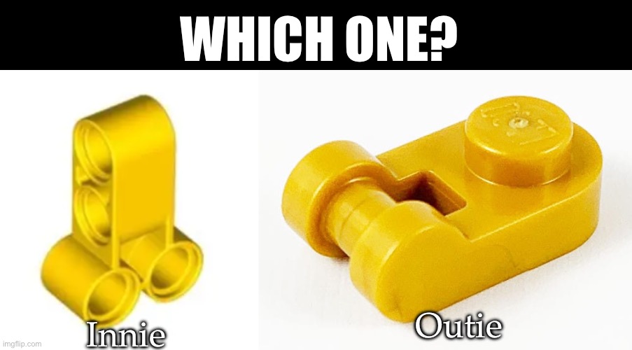 Which one? | WHICH ONE? Innie; Outie | image tagged in yourself,what you like,in,out | made w/ Imgflip meme maker