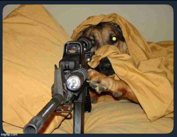 Sniper Dog Blank Meme Template
