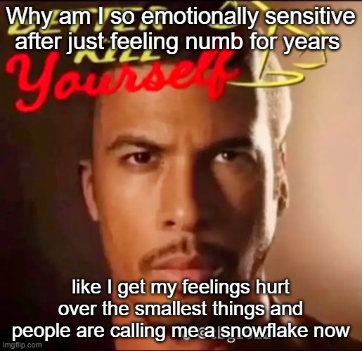 better kys | Why am I so emotionally sensitive after just feeling numb for years; like I get my feelings hurt over the smallest things and people are calling me a snowflake now | image tagged in better kys | made w/ Imgflip meme maker