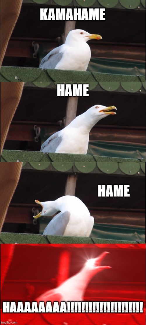 Inhaling Seagull | KAMAHAME; HAME; HAME; HAAAAAAAA!!!!!!!!!!!!!!!!!!!!! | image tagged in memes,inhaling seagull | made w/ Imgflip meme maker