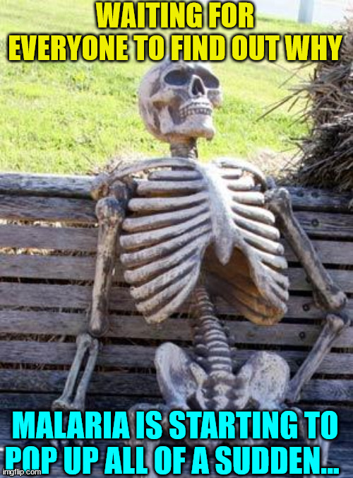 Gate's genetically modified mosquitos, Gate's new malara vaccine, illegals bringing in disease. | WAITING FOR EVERYONE TO FIND OUT WHY; MALARIA IS STARTING TO POP UP ALL OF A SUDDEN... | image tagged in memes,waiting skeleton,bill gates,illegal immigration,cdc,bill gates loves vaccines | made w/ Imgflip meme maker