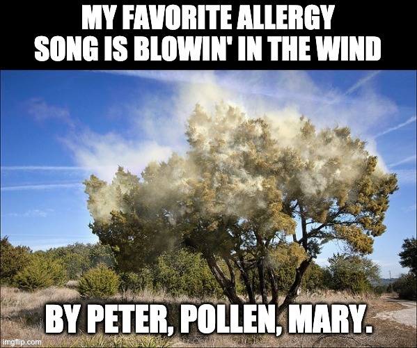Allergy | image tagged in bad pun | made w/ Imgflip meme maker