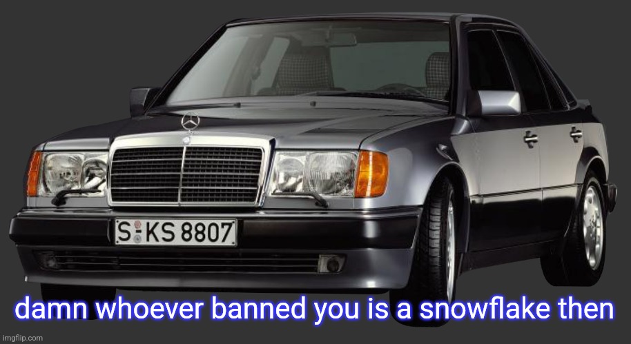 mercedes e class 1993 | damn whoever banned you is a snowflake then | image tagged in mercedes e class 1993 | made w/ Imgflip meme maker