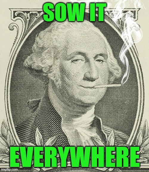 George Don't Lie | SOW IT; EVERYWHERE | image tagged in tokeington | made w/ Imgflip meme maker
