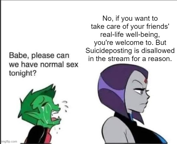 . | No, if you want to take care of your friends' real-life well-being, you're welcome to. But Suicideposting is disallowed in the stream for a reason. | image tagged in babe can we please have normal sex tonight | made w/ Imgflip meme maker