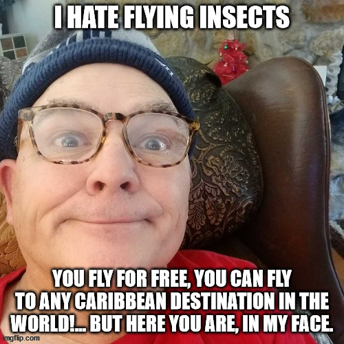durl earl | I HATE FLYING INSECTS; YOU FLY FOR FREE, YOU CAN FLY TO ANY CARIBBEAN DESTINATION IN THE WORLD!... BUT HERE YOU ARE, IN MY FACE. | image tagged in durl earl | made w/ Imgflip meme maker