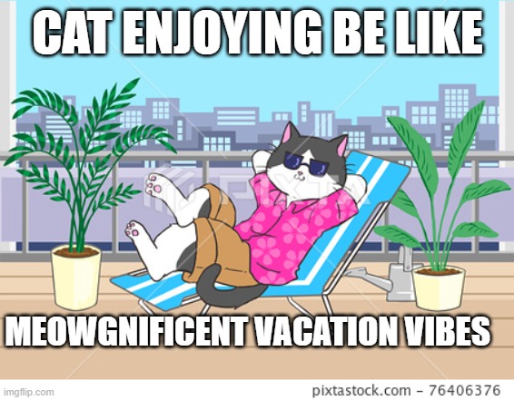 If Cats Could Talk | CAT ENJOYING BE LIKE; MEOWGNIFICENT VACATION VIBES | image tagged in cats,funny memes,cats are awesome | made w/ Imgflip meme maker