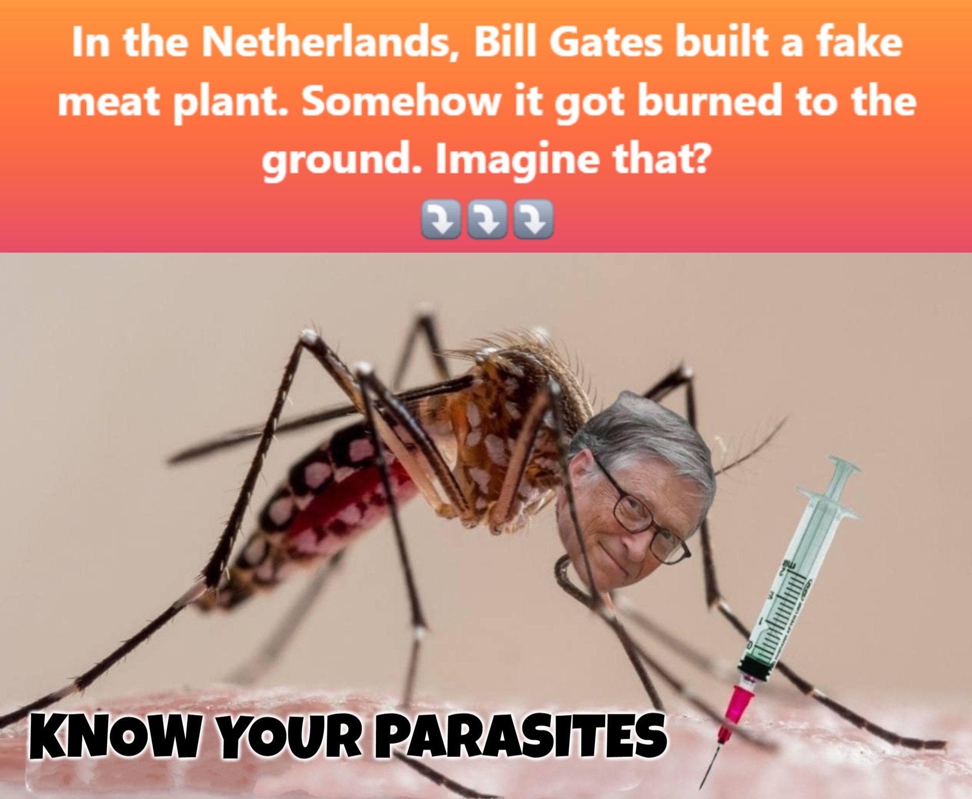 Bill Gates' fake meat plant burned to the ground in the Netherlands. | image tagged in bill gates,fake meat,know your parasites,dr death,dr doom,nuremberg code | made w/ Imgflip meme maker