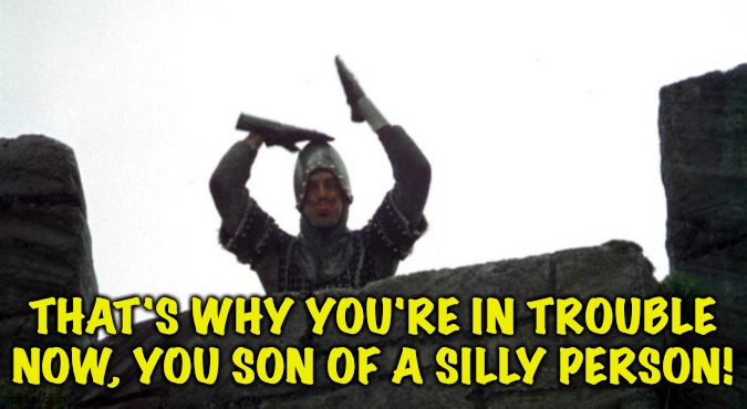 Monty Python French taunt | THAT'S WHY YOU'RE IN TROUBLE NOW, YOU SON OF A SILLY PERSON! | image tagged in monty python french taunt | made w/ Imgflip meme maker