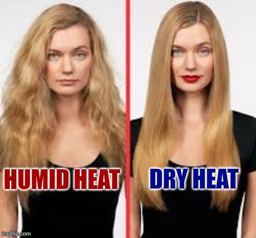 It's A Dry Heat Man | DRY HEAT; HUMID HEAT | image tagged in dry heat,humidity,global warming,climate change,bad hair day,memes | made w/ Imgflip meme maker