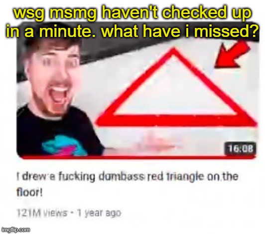 dumbass triangle | wsg msmg haven't checked up in a minute. what have i missed? | image tagged in dumbass triangle | made w/ Imgflip meme maker