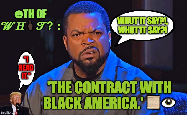 Cube Vision | ❹TH OF 𝓦𝐻🖕🏿𝓣？:; WHUT'IT SAY?!,
WHUT'IT SAY?! "I READ IT."; 'THE CONTRACT WITH BLACK AMERICA.' 📜👁 | image tagged in ice cube disgusted | made w/ Imgflip meme maker