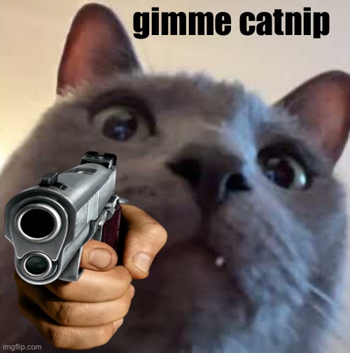 catnip > death | gimme catnip | image tagged in guns,angry cat | made w/ Imgflip meme maker