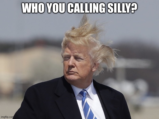 Trump hair squint funny humor silly moron | WHO YOU CALLING SILLY? | image tagged in trump hair squint funny humor silly moron | made w/ Imgflip meme maker