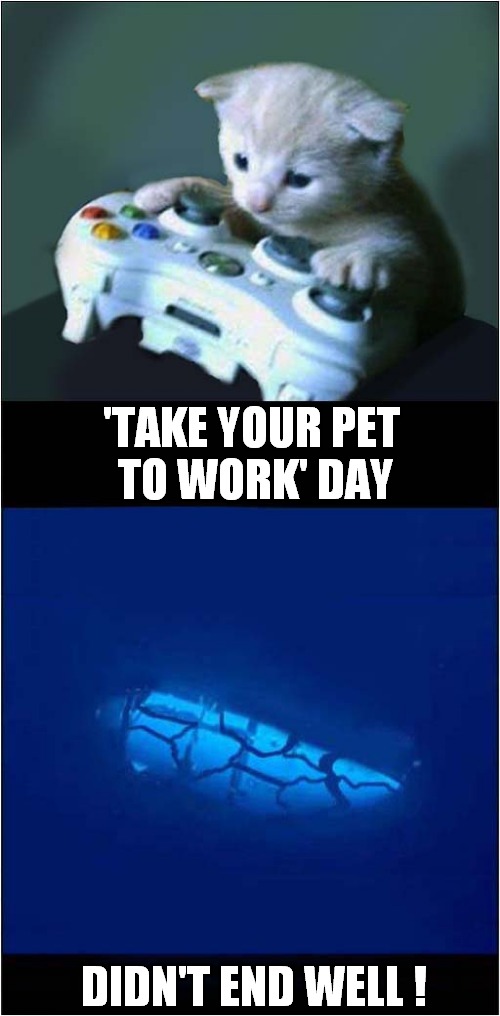 In Retrospect, Not The Best Idea ! | 'TAKE YOUR PET 
TO WORK' DAY; DIDN'T END WELL ! | image tagged in titanic,sub,titan,kitten,controller,dark humour | made w/ Imgflip meme maker