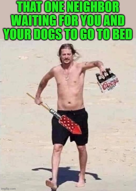 Stay safe | THAT ONE NEIGHBOR WAITING FOR YOU AND YOUR DOGS TO GO TO BED | image tagged in july 4th | made w/ Imgflip meme maker