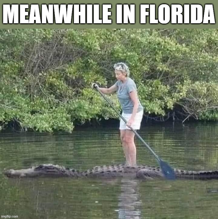 Florida Woman! | MEANWHILE IN FLORIDA | image tagged in florida,gators | made w/ Imgflip meme maker