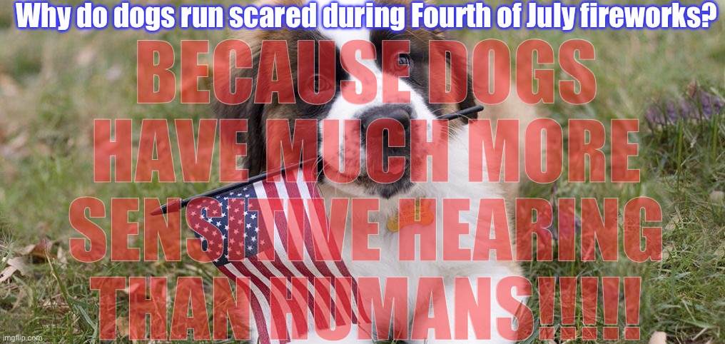 Chicago | Why do dogs run scared during Fourth of July fireworks? BECAUSE DOGS HAVE MUCH MORE SENSITIVE HEARING THAN HUMANS!!!!! | image tagged in closed for the fourth of july,memes,dogs,fourth of july | made w/ Imgflip meme maker