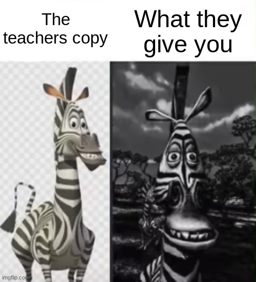 Why is it always black and white! | What they give you; The teachers copy | image tagged in teacher's copy | made w/ Imgflip meme maker