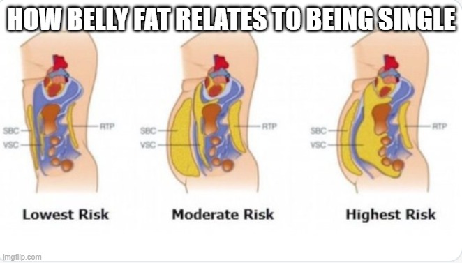 ATTN: Ladies | HOW BELLY FAT RELATES TO BEING SINGLE | image tagged in public service announcement,psa,knowledge,knowledge is power,knowing is half the battle,fitness | made w/ Imgflip meme maker