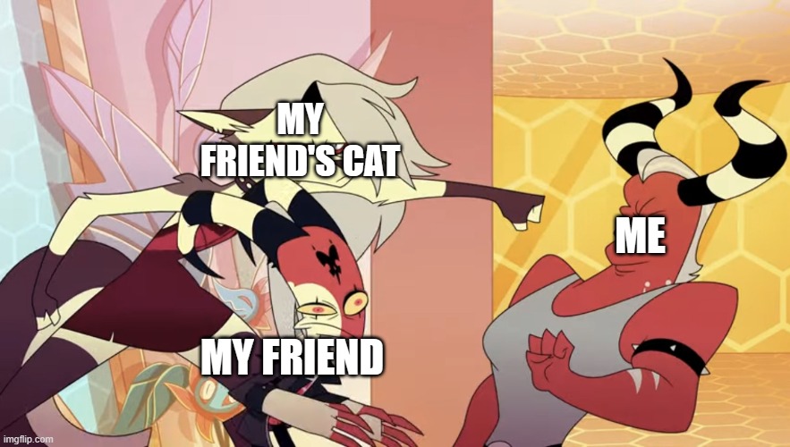 am I the only one posting on here? | MY FRIEND'S CAT; ME; MY FRIEND | image tagged in protective family | made w/ Imgflip meme maker