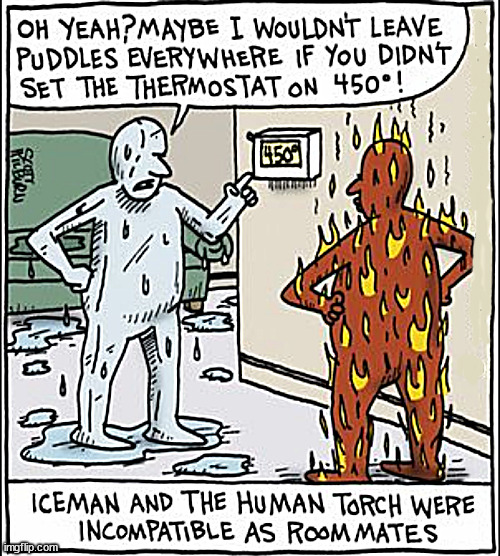Fire & Ice Mates | image tagged in memes,comics,roommates | made w/ Imgflip meme maker