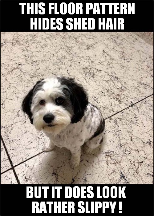 Danger At The Vets ! | THIS FLOOR PATTERN
HIDES SHED HAIR; BUT IT DOES LOOK 
RATHER SLIPPY ! | image tagged in dogs,vets,floor,hair,slippy | made w/ Imgflip meme maker
