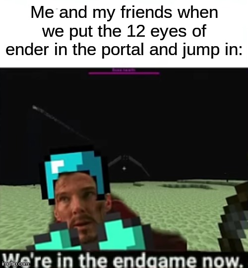 Me and my friends when we put the 12 eyes of ender in the portal and jump in: | image tagged in minecraft | made w/ Imgflip meme maker