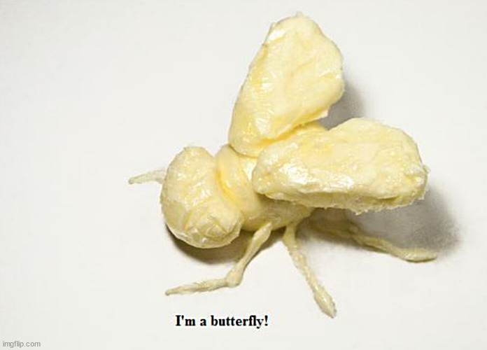 a little butteryfly 4u | image tagged in memes,comics,middle school | made w/ Imgflip meme maker