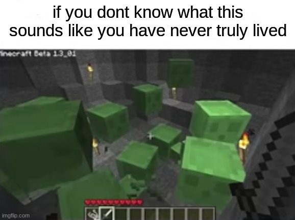 *scwitch* | if you dont know what this sounds like you have never truly lived | image tagged in slime,minecraft | made w/ Imgflip meme maker