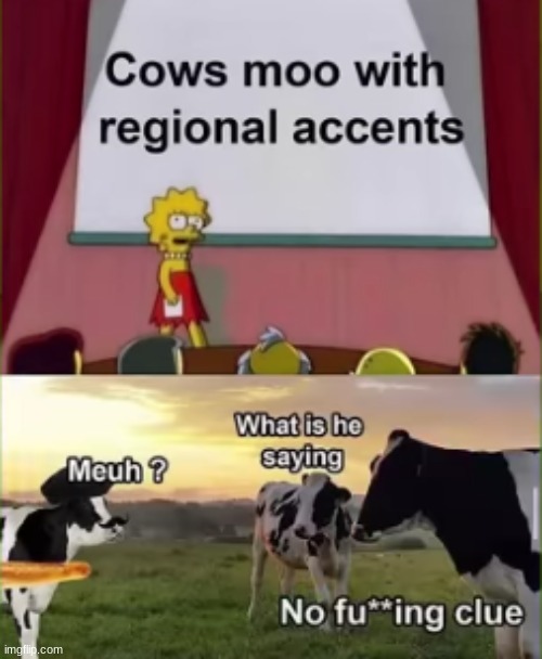 Mueh | image tagged in moo,cow | made w/ Imgflip meme maker