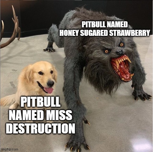 dog vs werewolf | PITBULL NAMED HONEY SUGARED STRAWBERRY; PITBULL NAMED MISS DESTRUCTION | image tagged in dog vs werewolf | made w/ Imgflip meme maker