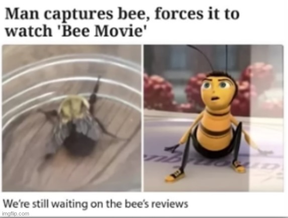 image tagged in bee movie | made w/ Imgflip meme maker