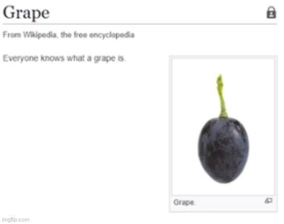 Grape | image tagged in grape | made w/ Imgflip meme maker